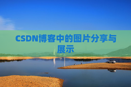 CSDN博客中的图片分享与展示